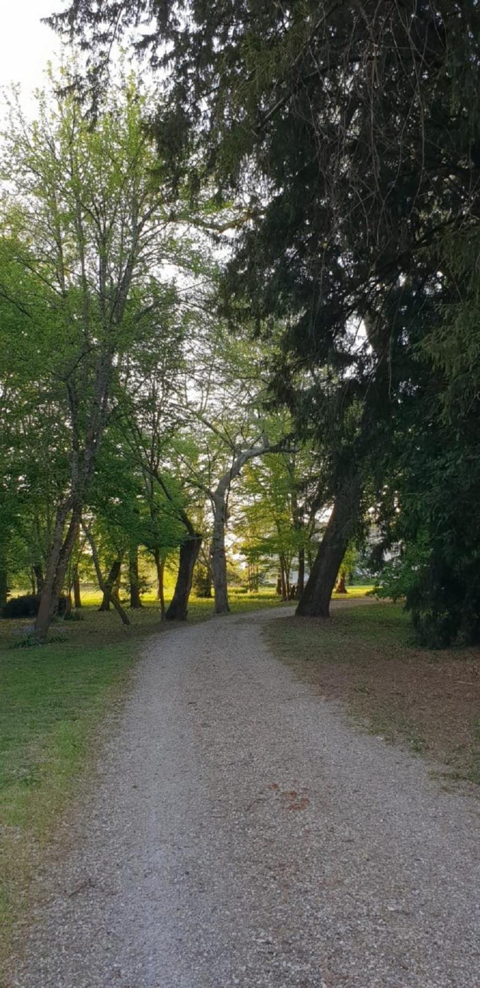 Chateau De Vidasse Pessac-sur-Dordogne エクステリア 写真